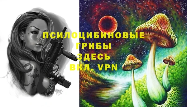 прущие крисы Надым