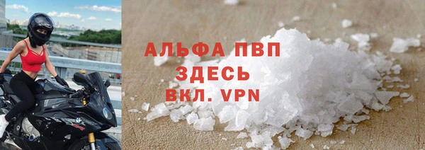 гашик Арсеньев