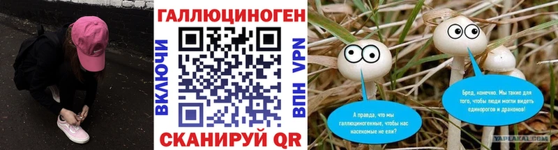 кракен как зайти  Починок  Галлюциногенные грибы мухоморы 